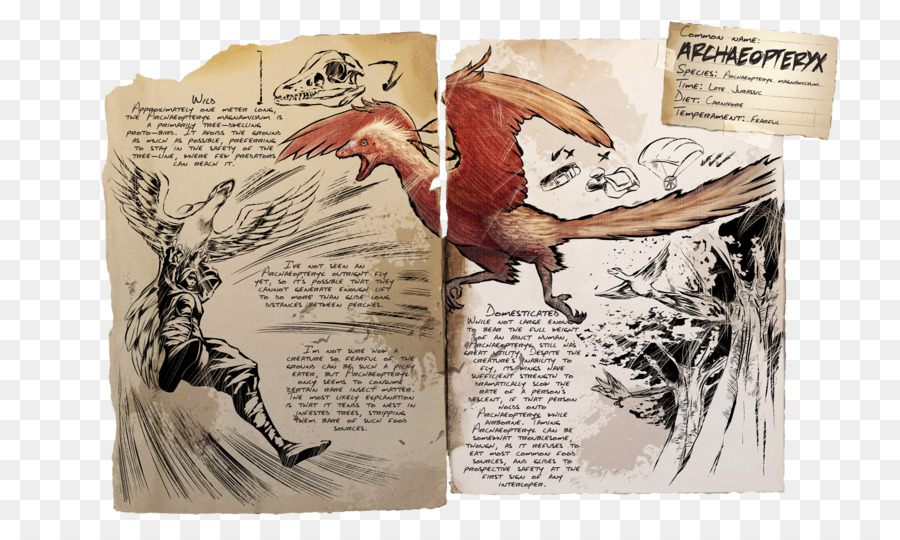 Arca De Supervivencia Evolucionado，El Archaeopteryx PNG