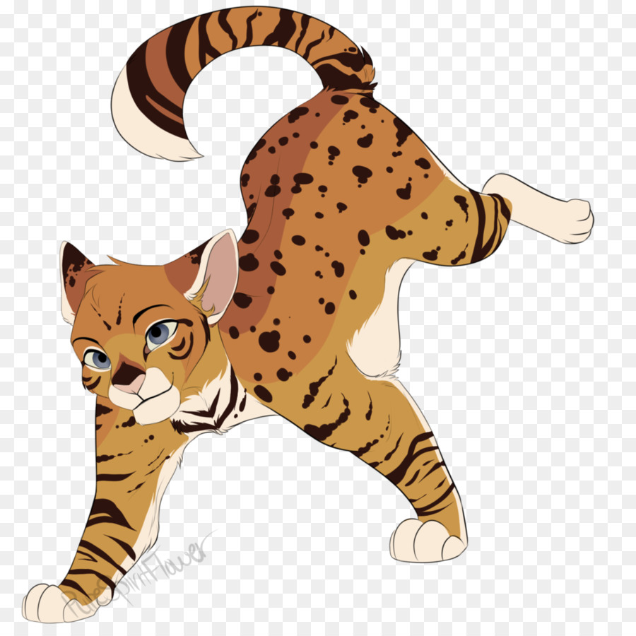 Gato Manchado，Felino PNG