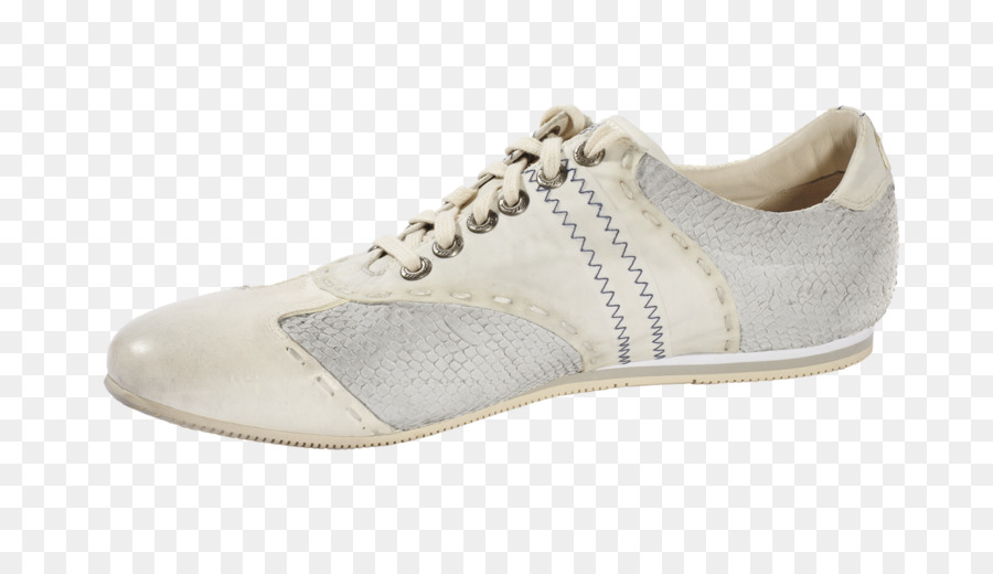 Zapato，Zapatilla De Deporte PNG