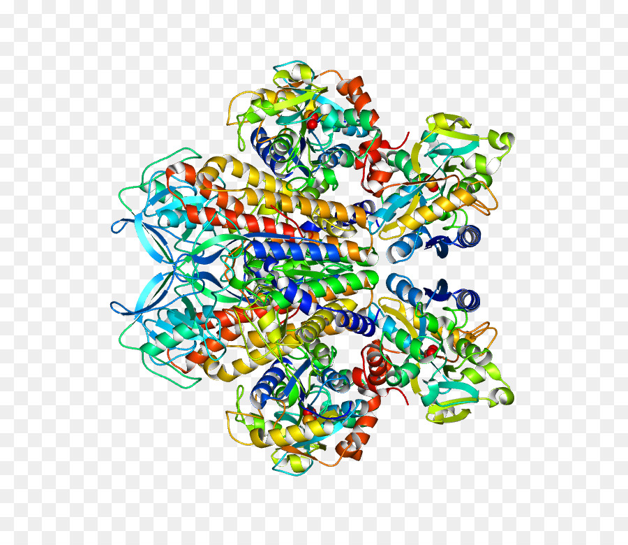 Línea，El Cuerpo De La Joyería PNG