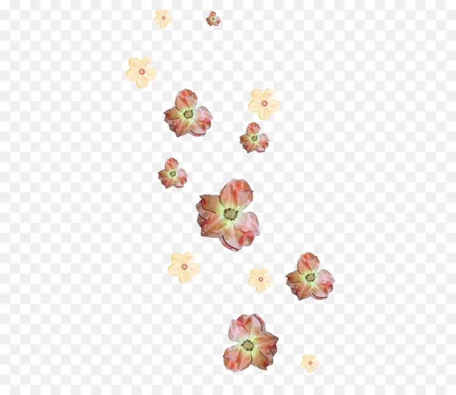 Diseño Floral，Flor PNG