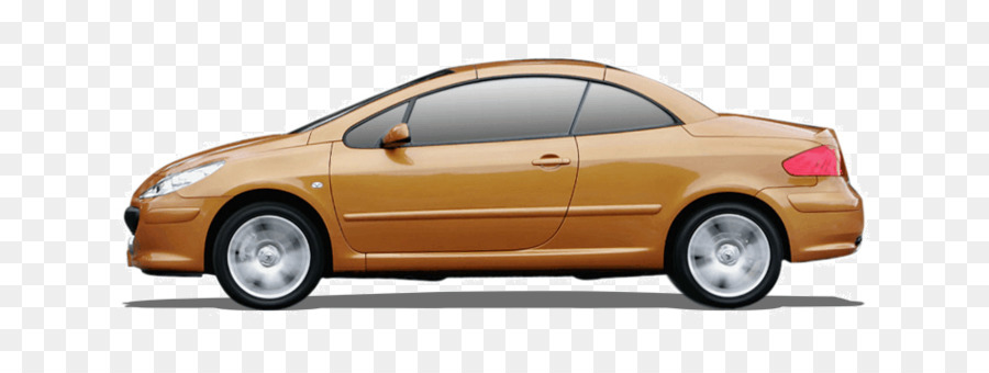 Peugeot 307，Peugeot PNG