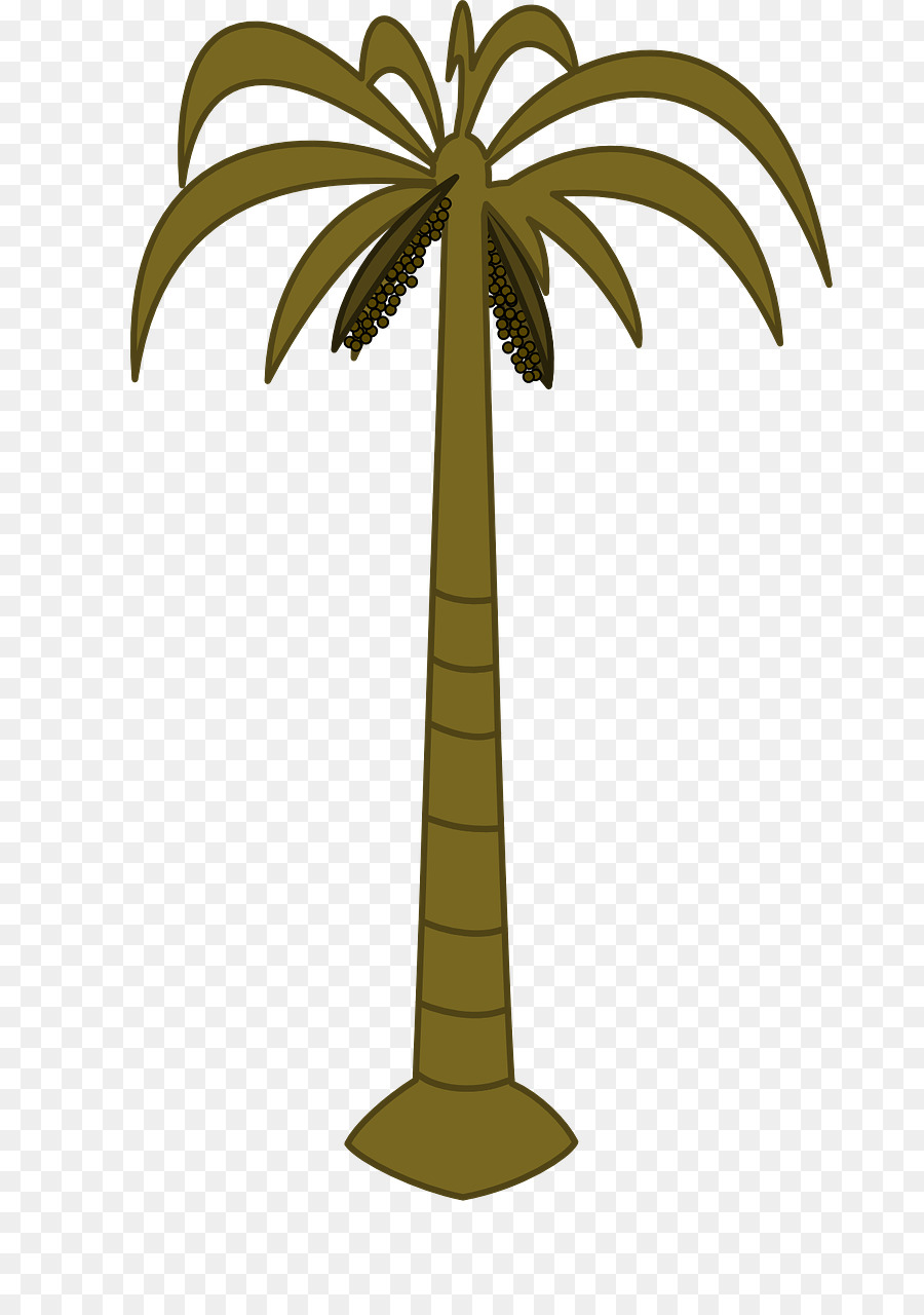 Arecaceae，Coco PNG