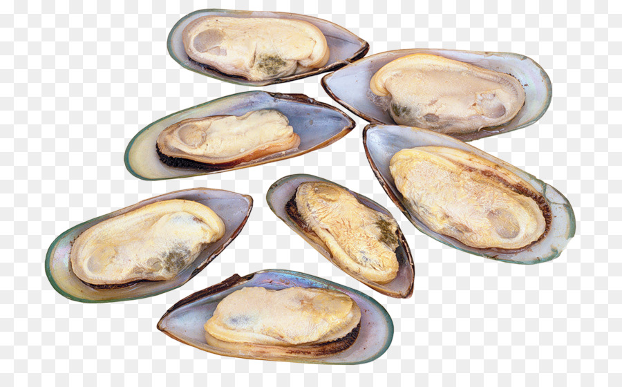 Mejillones Cocidos，Alimento PNG