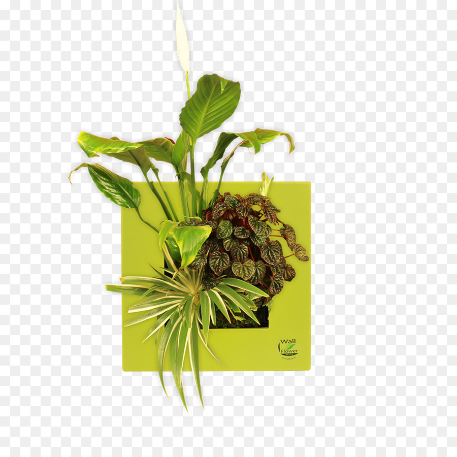 Deseo，La Naturaleza PNG