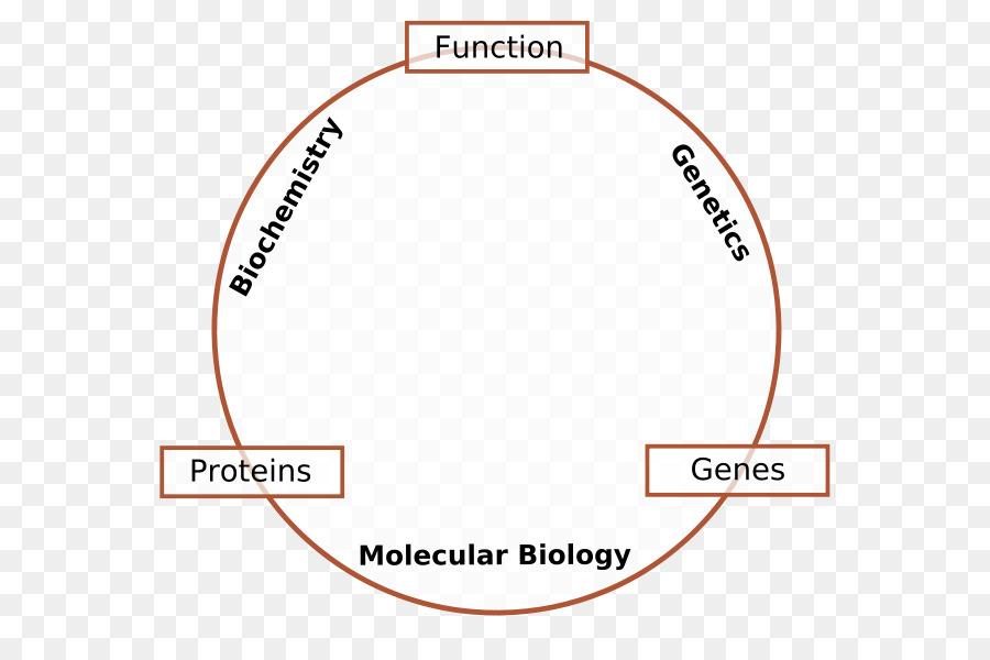 Biología Molecular，Biología PNG