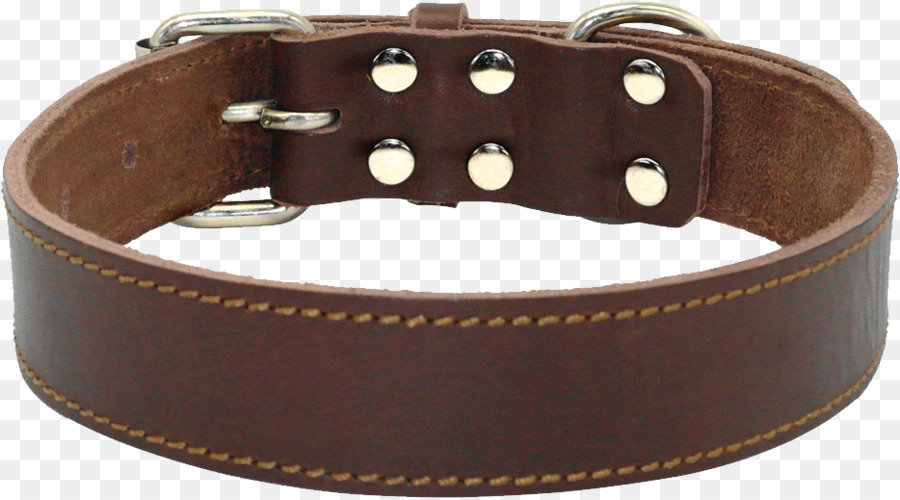 Perro，Collar De Perro PNG