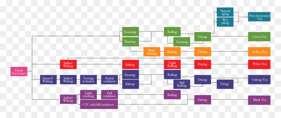 Diagrama De Flujo，Proceso PNG