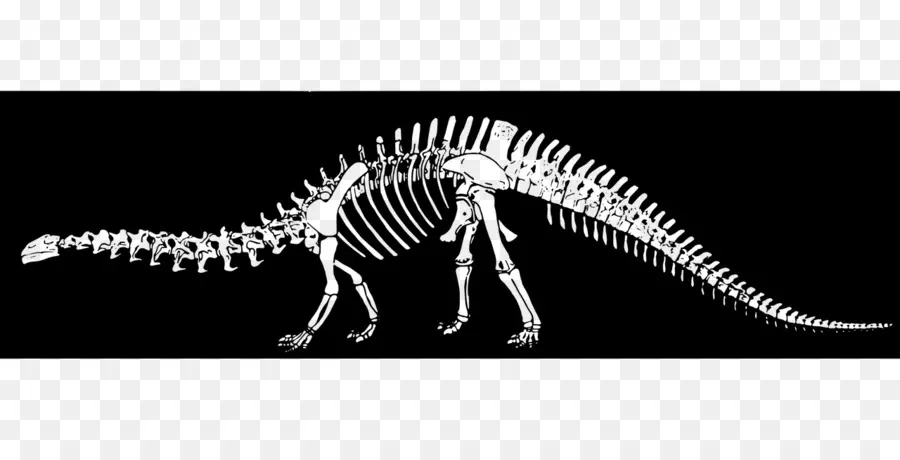 Velociraptor，Arca De Supervivencia Evolucionado PNG
