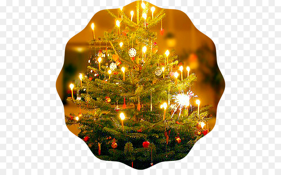 La Navidad，árbol De Navidad PNG