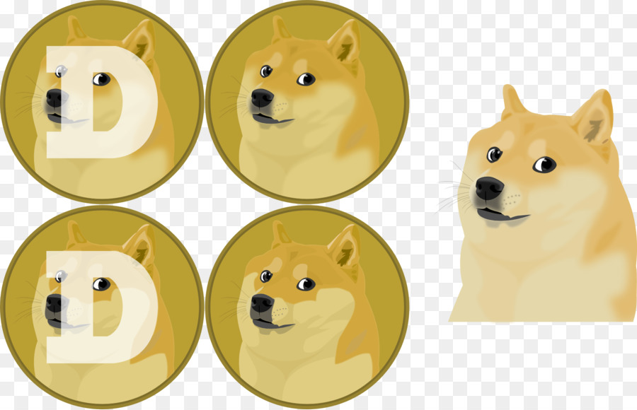 Raza De Perro，Perro PNG