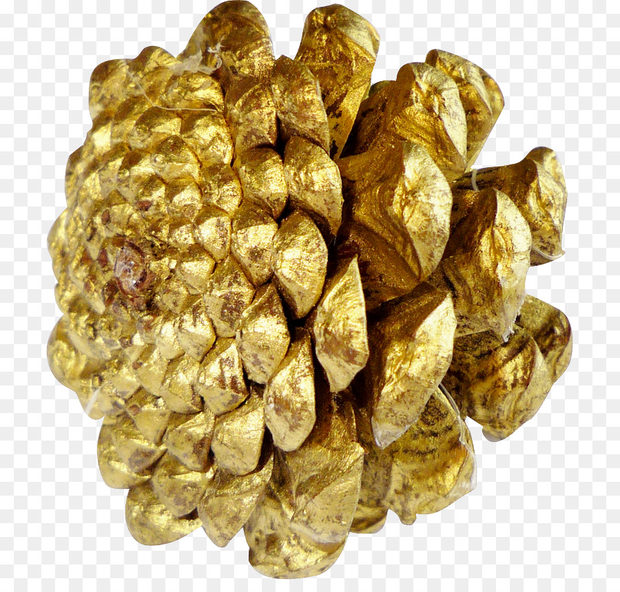 Oro，La Goma Arábiga PNG