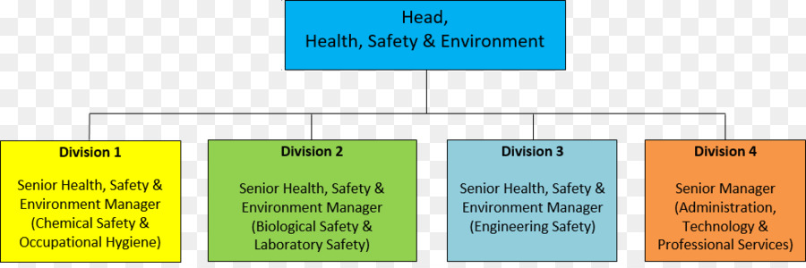 Organigrama，Universidad Politécnica De Hong Kong PNG