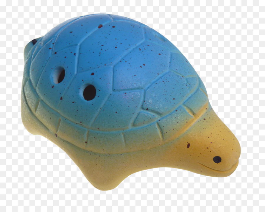 Tortuga，Tortuga De Mar PNG