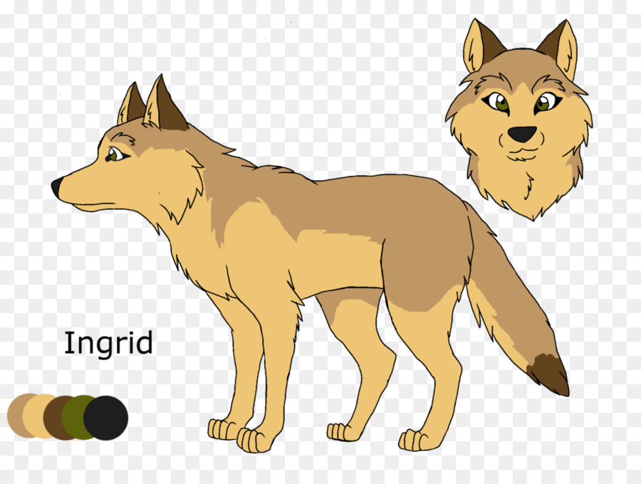 Zorro Rojo，Coyote PNG