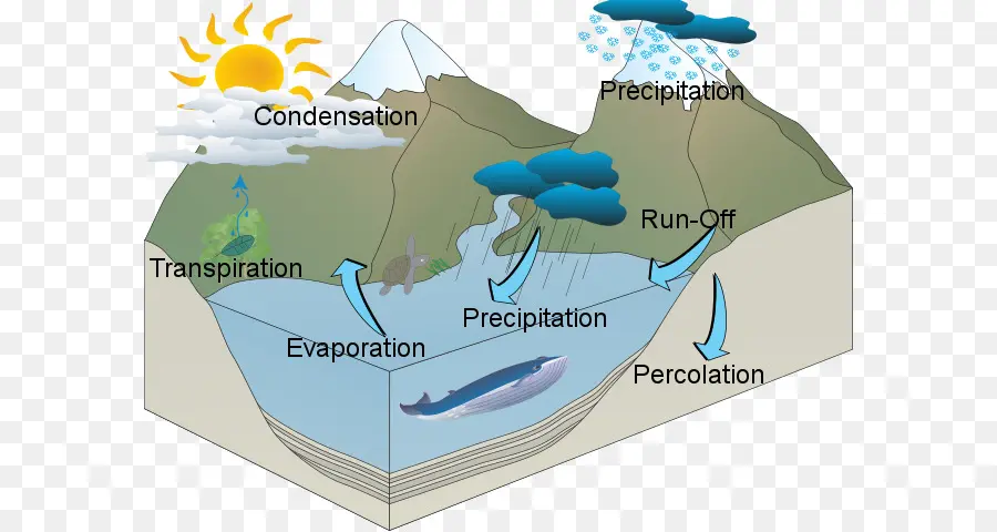 Diagrama Del Ciclo Del Agua，Hidrología PNG