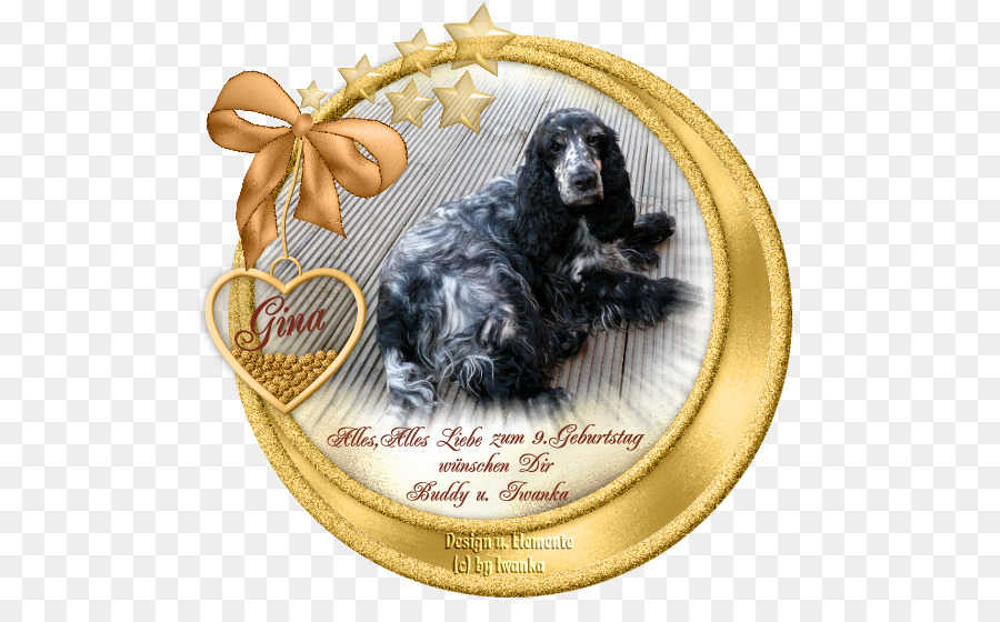 Boykin Spaniel，Cocker Spaniel Inglés PNG