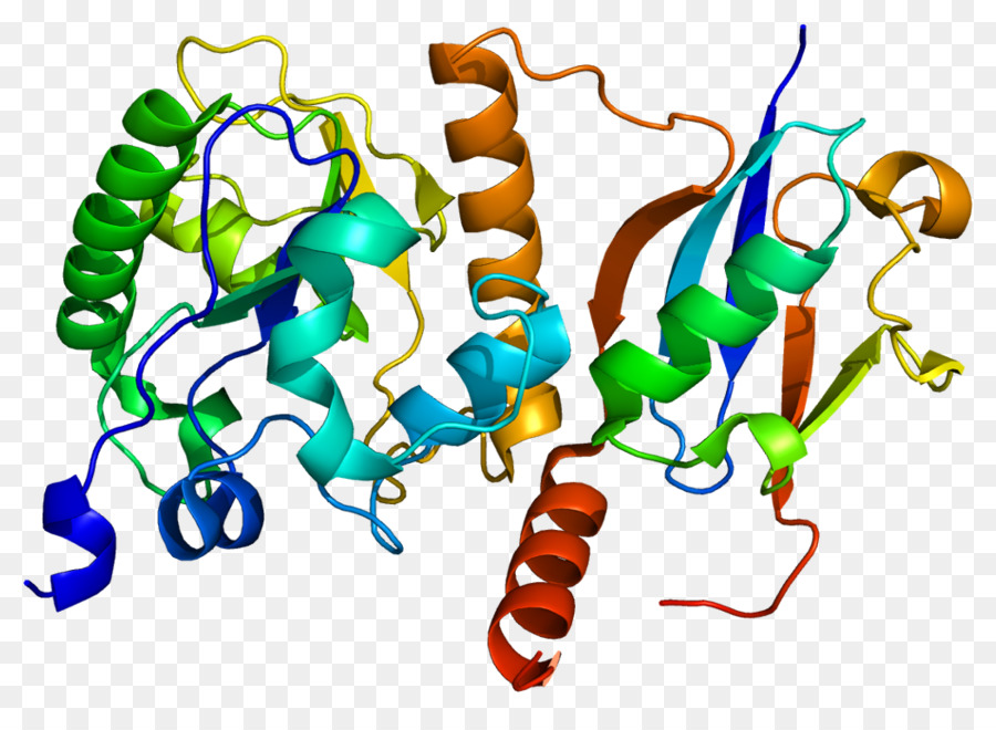 Estructura Proteica，Molécula PNG