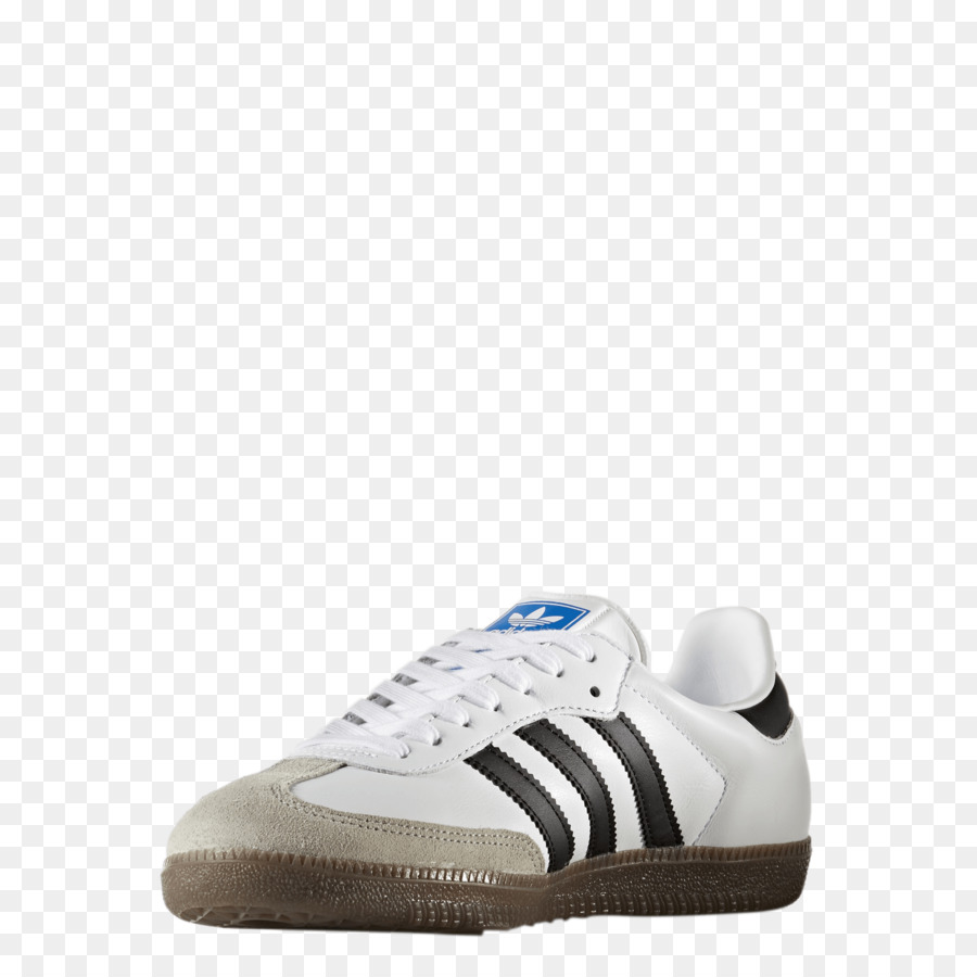 Zapato，Zapatilla PNG