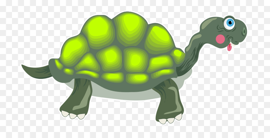 Tortuga，Dibujo PNG