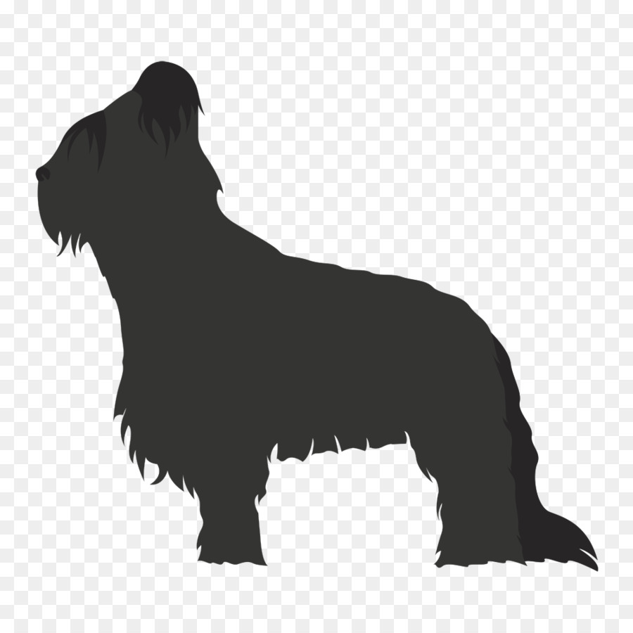 Scottish Terrier，Nonsporting Grupo PNG