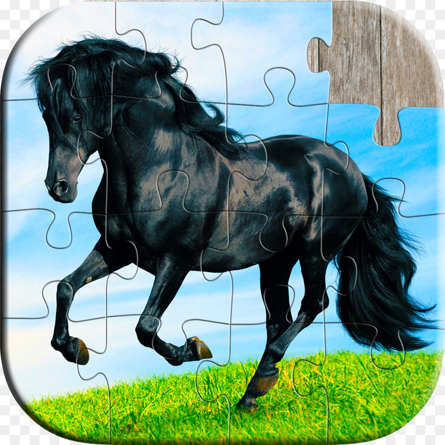 Rompecabezas，Caballo De Rompecabezas Juego Para Niños Adultos PNG