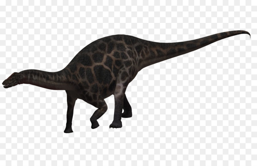 Velociraptor，Dicraeosaurus PNG
