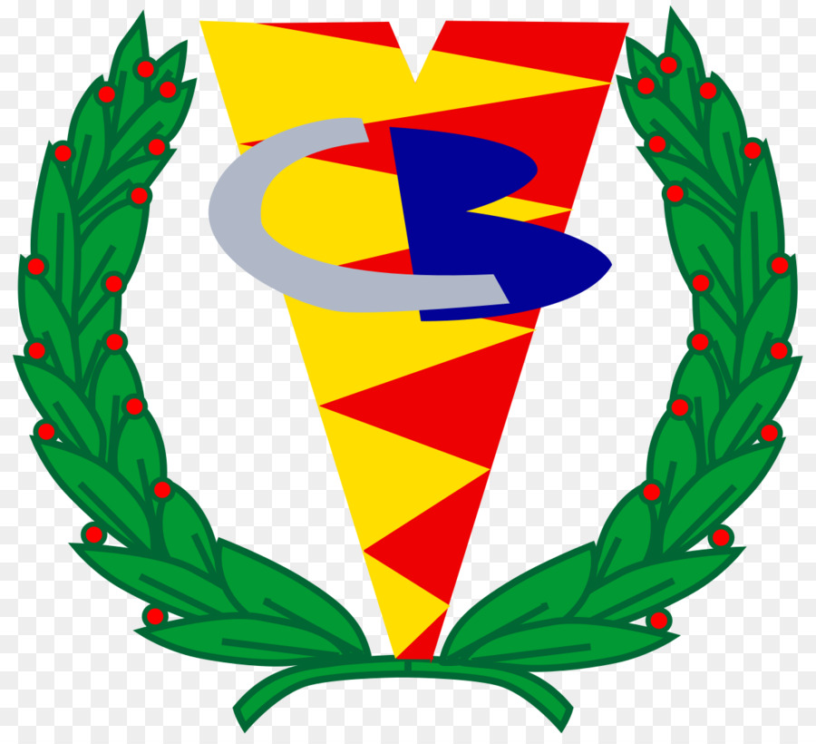 El Club Balonmano Valladolid，Bm Valladolid PNG