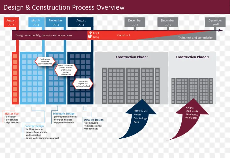 Proceso De Diseño Y Construcción，Proceso PNG