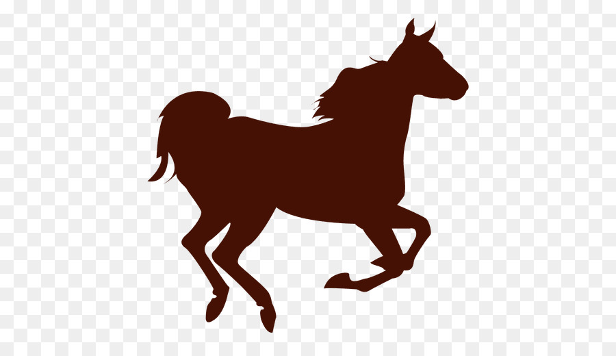 Caballo，Fondo De Escritorio PNG