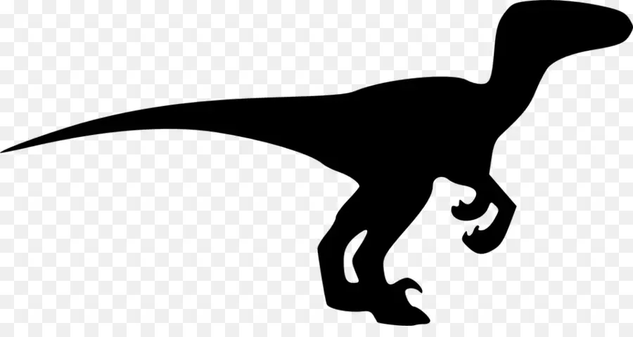 Velociraptor，Tyrannosaurus PNG