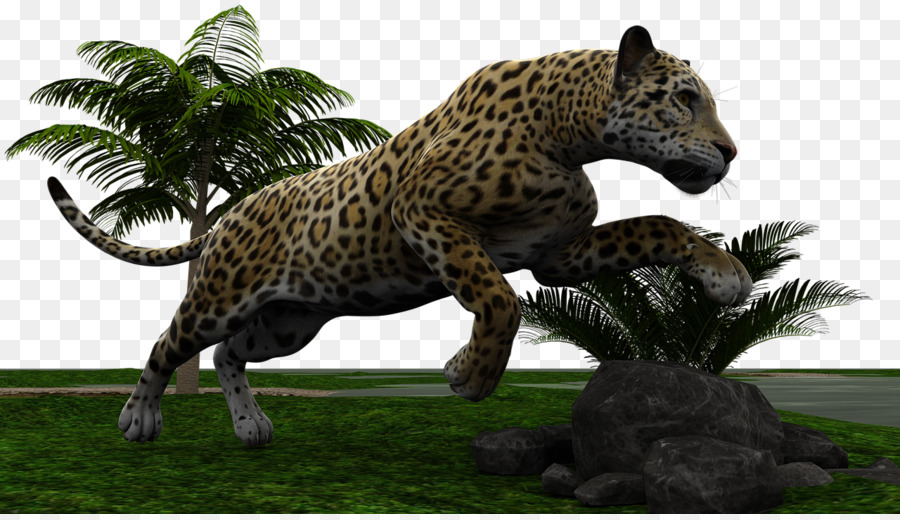 Leopard，Jaguar PNG