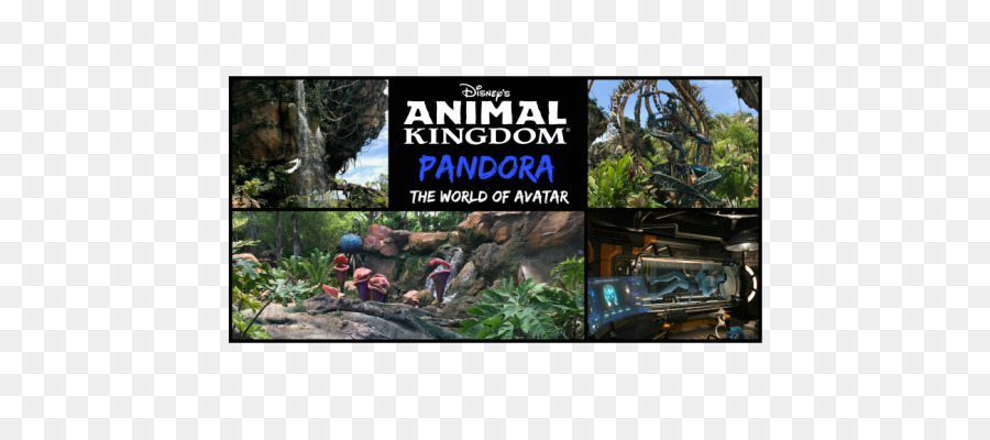 Pandora El Mundo De Avatar，Disney S Animal Kingdom PNG