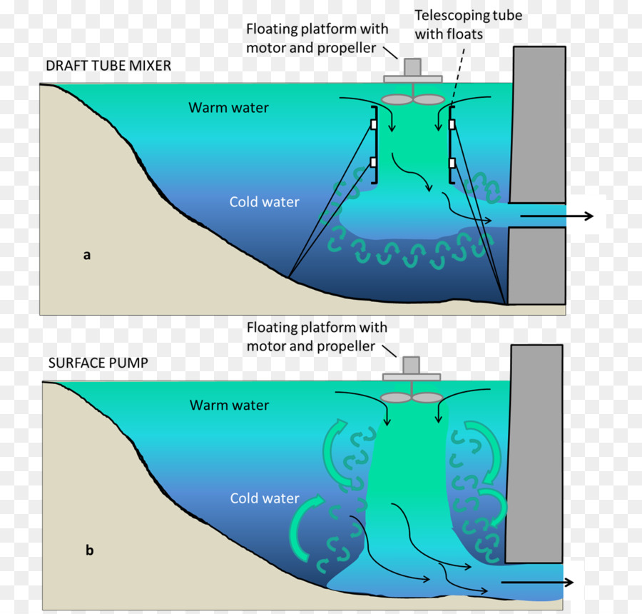 Los Recursos De Agua，Ecosistema PNG
