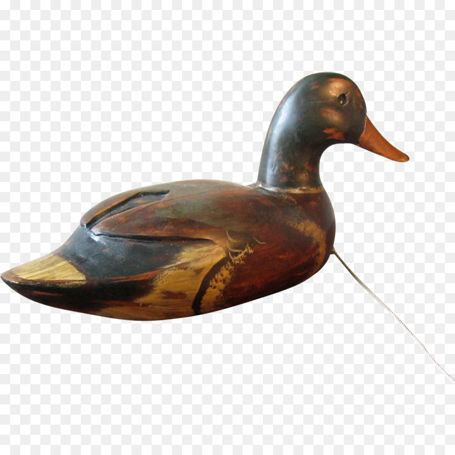 El ánade Real，Pato PNG