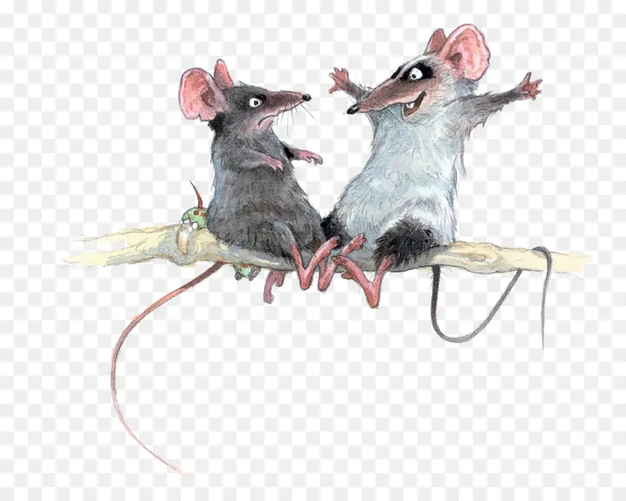 Dos Ratones En Una Rama，Rama PNG