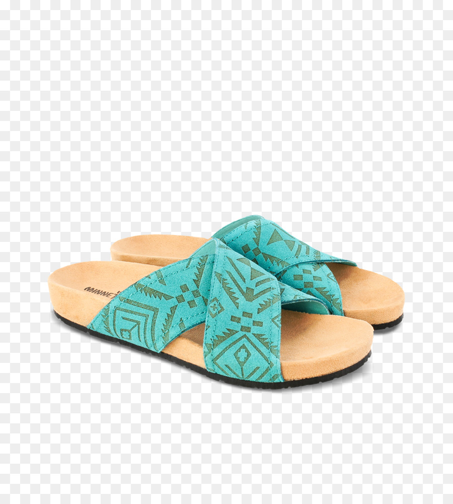 Flipflops，Zapatilla PNG