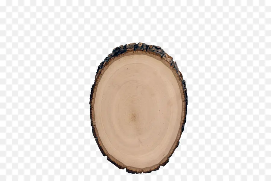 Rebanada De Madera，Árbol PNG