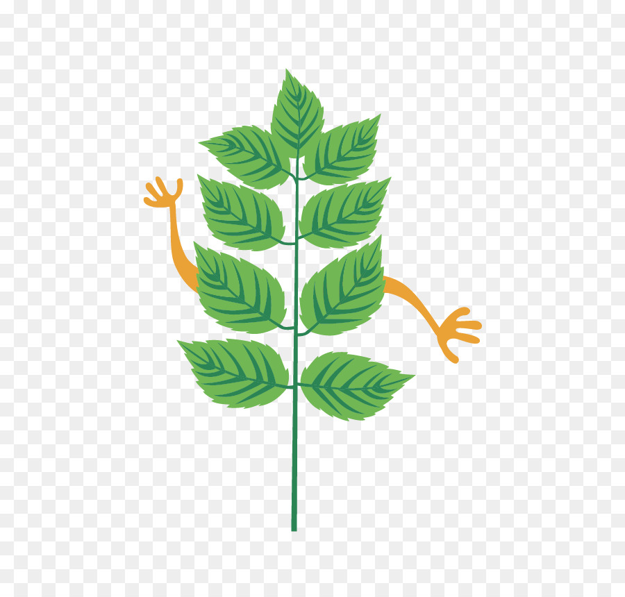 Hoja，Tallo De La Planta PNG