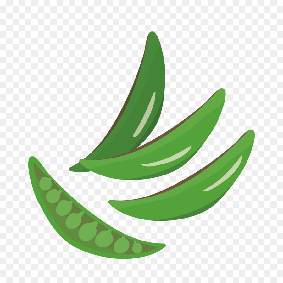 Vegetal，La Fruta PNG