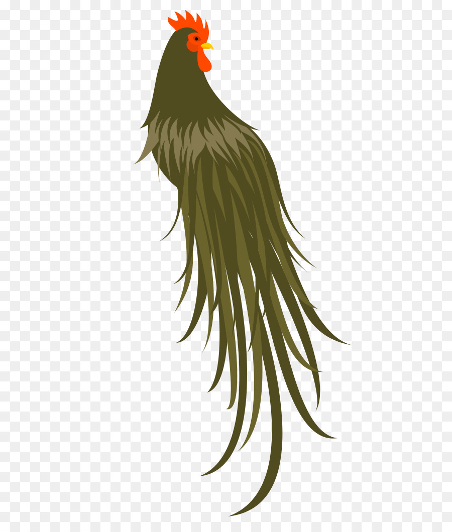 Gallo，Pájaro PNG