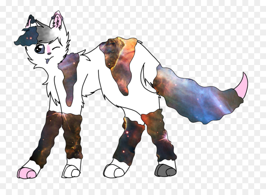 Gato，Caballo PNG