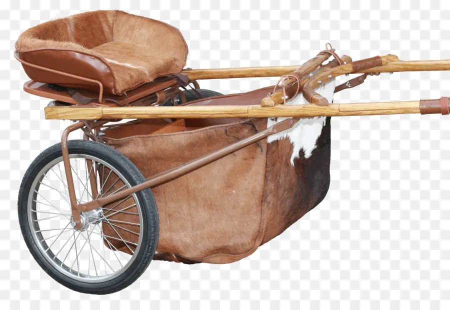 Caballo，Carro PNG