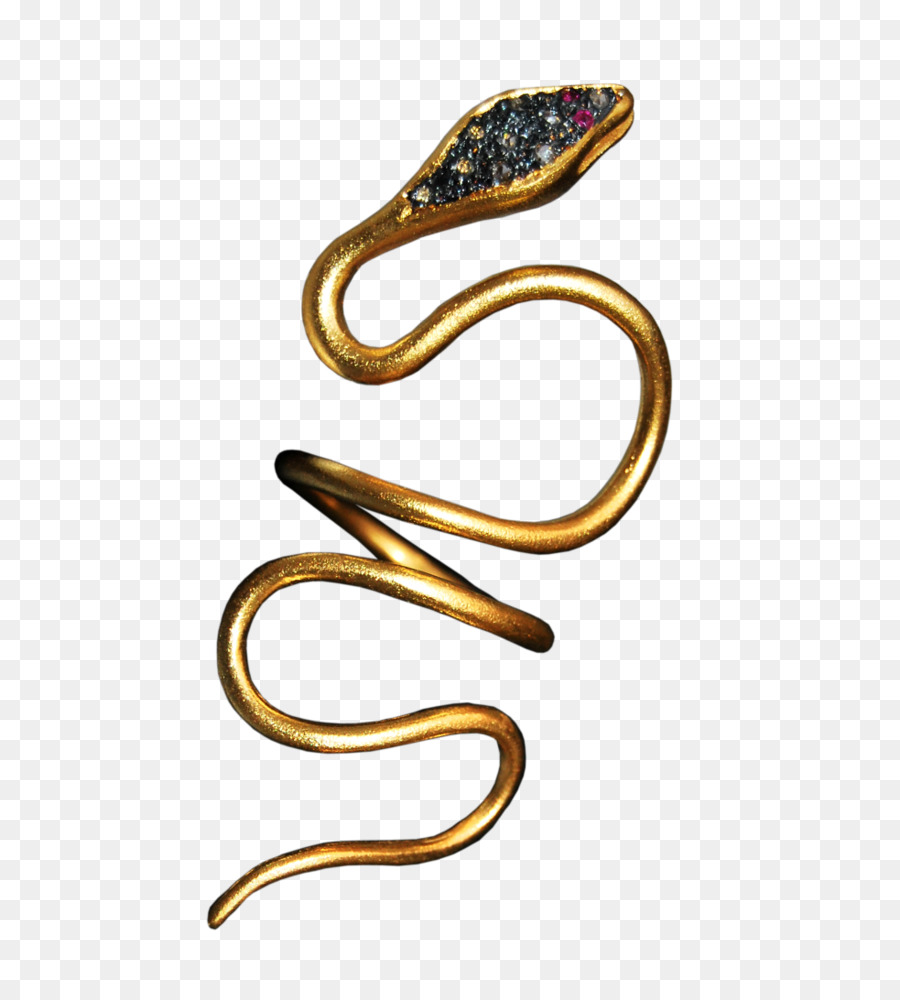 El Cuerpo De La Joyería，La Serpiente Estoy PNG