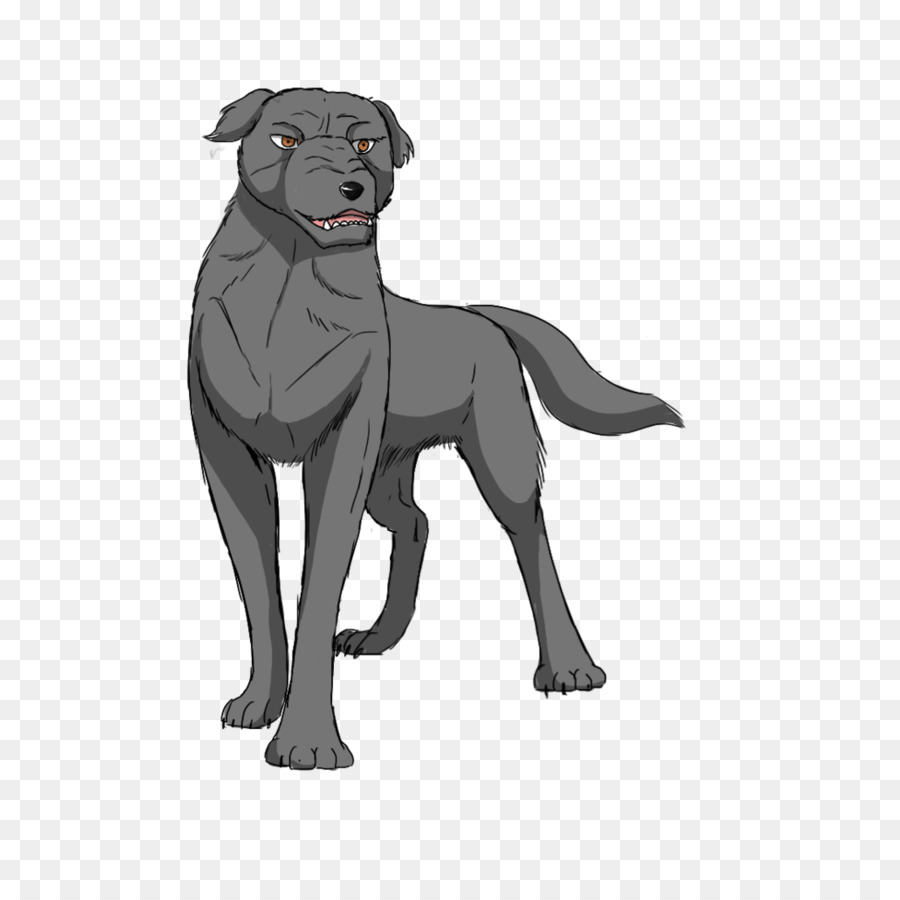 Labrador Retriever，Raza De Perro PNG