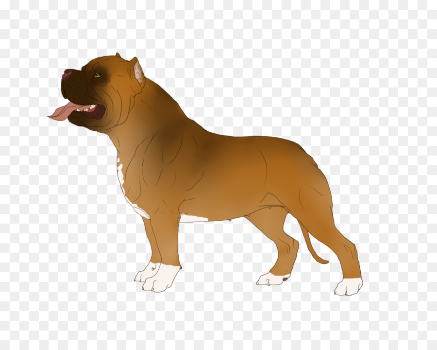 Raza De Perro，Perro PNG