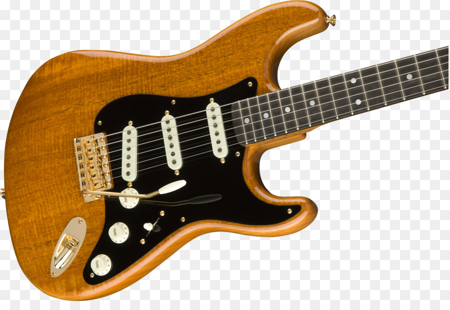 Fender Stratocaster，Fender Stratocaster American Professional PNG