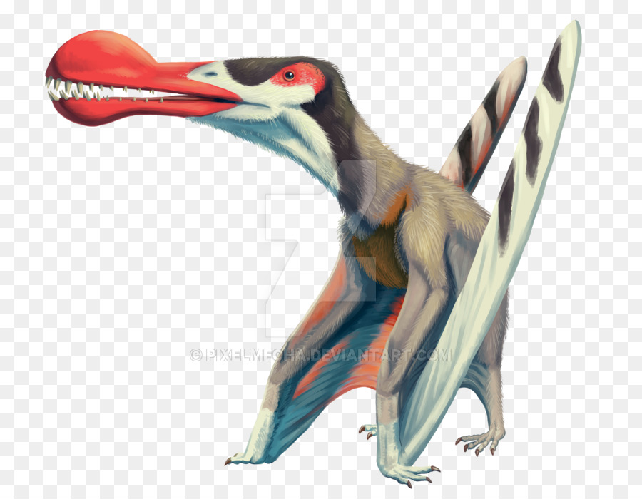 Quetzalcoatlus，Velociraptor PNG