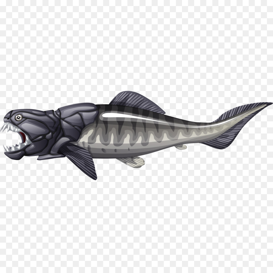 Squaliform Tiburones，Marsopa PNG