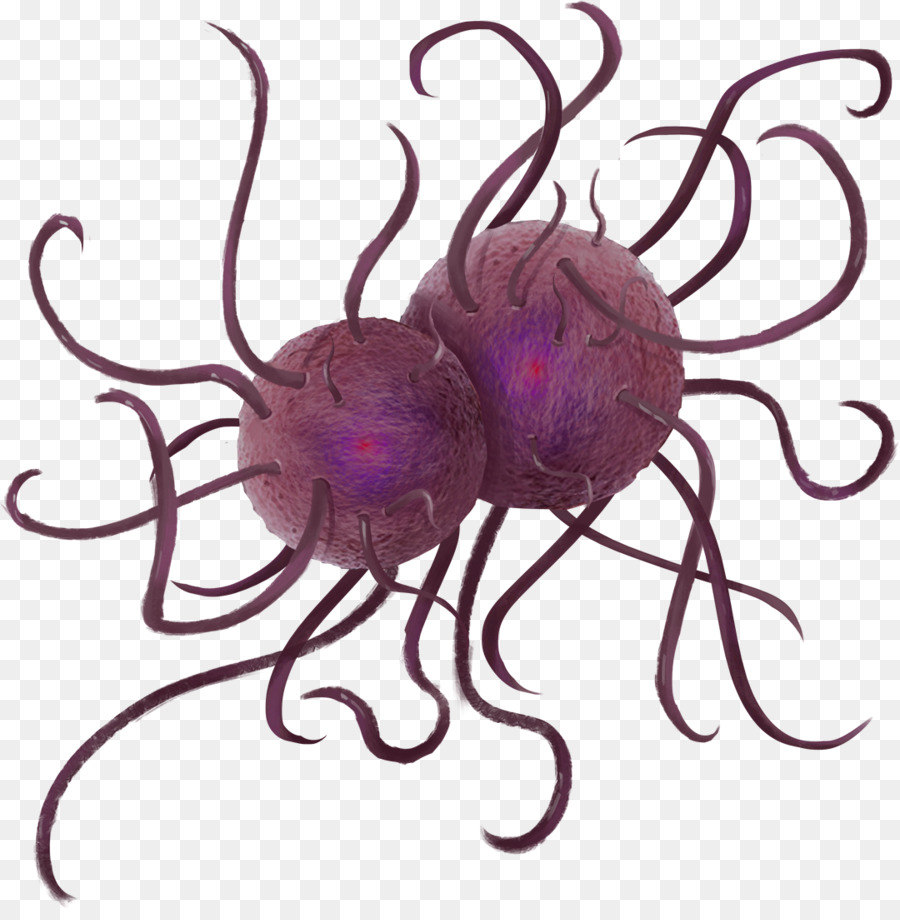 Cthulhu，Juego De Sacudida PNG